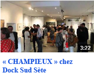 Vernissage du Peintre Champieux chez  la Galerie Dock Sud à Sète.